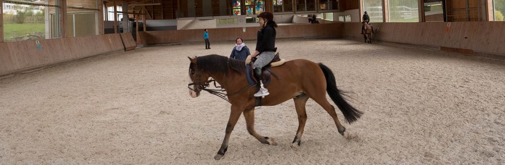 Header Reiten